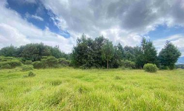 En VENTA 10,000 m2  en Montemar. Acaxochitlan. cerca de presa tejocotal.