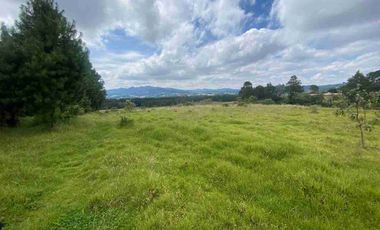 En VENTA 10,000 m2  en Montemar. Acaxochitlan. cerca de presa tejocotal.