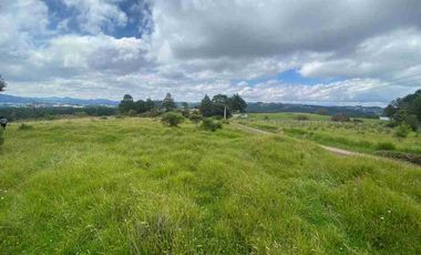 En VENTA 10,000 m2  en Montemar. Acaxochitlan. cerca de presa tejocotal.