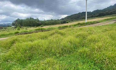 En VENTA 10,000 m2  en Montemar. Acaxochitlan. cerca de presa tejocotal.