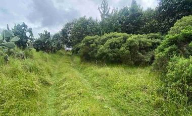 En VENTA 10,000 m2  en Montemar. Acaxochitlan. cerca de presa tejocotal.