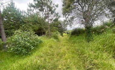 En VENTA 10,000 m2  en Montemar. Acaxochitlan. cerca de presa tejocotal.