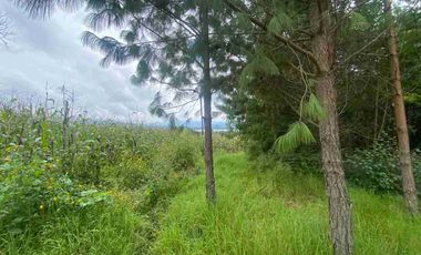 En VENTA 10,000 m2  en Montemar. Acaxochitlan. cerca de presa tejocotal.