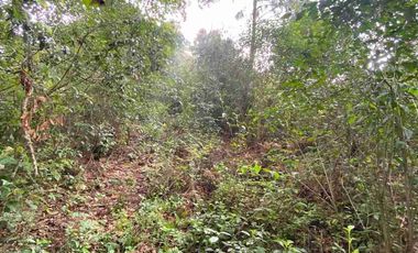 En VENTA 10,000 m2  en Montemar. Acaxochitlan. cerca de presa tejocotal.