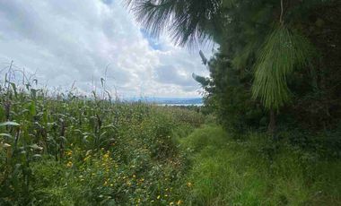 En VENTA 10,000 m2  en Montemar. Acaxochitlan. cerca de presa tejocotal.