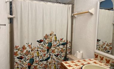 DEPARTAMENTO EN RENTA EN ZONA DORADA EN BUCERIAS