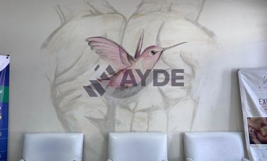 CONSULTORIO MÉDICO EN RENTA EN CENTRO DE TLAQUEPAQUE