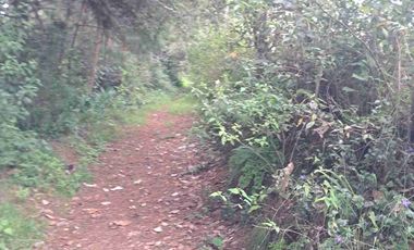 terreno de 7500 m2 en VENTA. EN Barrio 5. Los Reyes Acaxochitlan. Hgo.