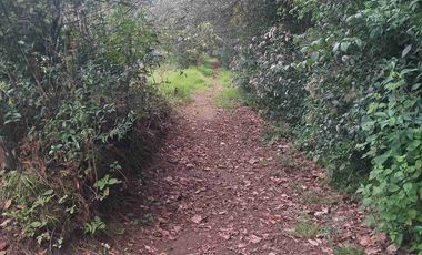 terreno de 7500 m2 en VENTA. EN Barrio 5. Los Reyes Acaxochitlan. Hgo.