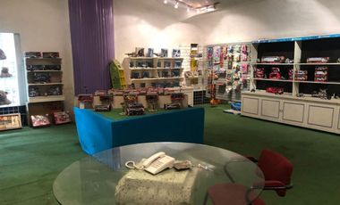 BODEGA EN VENTA EN GRAL. ANAYA, BENITO JUÁREZ, CIUDAD DE MÉXICO.