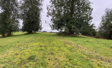 SE VENDE Parcela de 5000 m2 a 3 min. de Osorno en NUEVO PROYECTO 