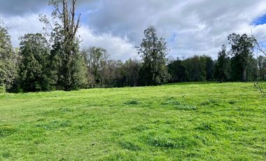 SE VENDE Parcela de 5000 m2 a 3 min. de Osorno en NUEVO PROYECTO 