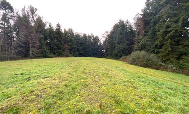 SE VENDE Parcela de 5000 m2 a 3 min. de Osorno en NUEVO PROYECTO 