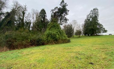 SE VENDE Parcela de 5000 m2 a 3 min. de Osorno en NUEVO PROYECTO 