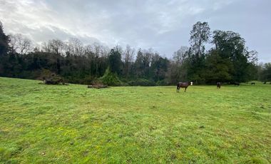 SE VENDE Parcela de 5000 m2 a 3 min. de Osorno en NUEVO PROYECTO 