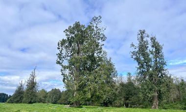 SE VENDE Parcela de 5000 m2 a 3 min. de Osorno en NUEVO PROYECTO 