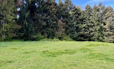 SE VENDE Parcela de 5000 m2 a 3 min. de Osorno en NUEVO PROYECTO 