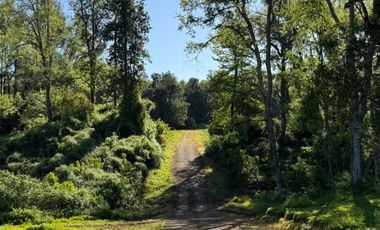 SE VENDE Parcela de 5000 m2 a 3 min. de Osorno en NUEVO PROYECTO 