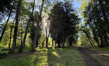 SE VENDE Parcela de 5000 m2 a 3 min. de Osorno en NUEVO PROYECTO 