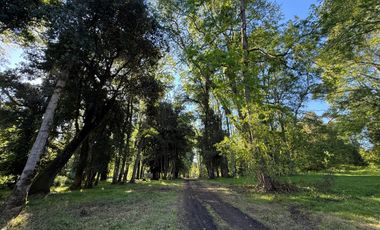 SE VENDE Parcela de 5000 m2 a 3 min. de Osorno en NUEVO PROYECTO 