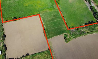 🌿 Terreno de 4,3 hectáreas en Llay-Llay – Parcelación Las Palmas