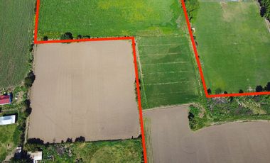 🌿 Terreno de 4,3 hectáreas en Llay-Llay – Parcelación Las Palmas