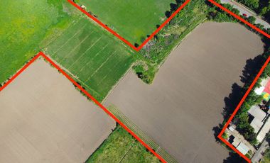 🌿 Terreno de 4,3 hectáreas en Llay-Llay – Parcelación Las Palmas