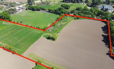 🌿 Terreno de 4,3 hectáreas en Llay-Llay – Parcelación Las Palmas