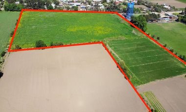 🌿 Terreno de 4,3 hectáreas en Llay-Llay – Parcelación Las Palmas