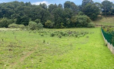 TERRENO EN AMEYALCO