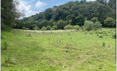 TERRENO EN AMEYALCO