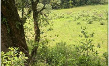 TERRENO EN AMEYALCO