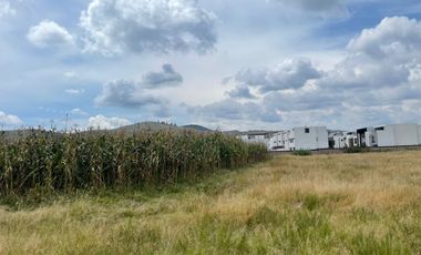 TERRENO EN RENTA RUSTICO EN LOMAS DE ANGELOPOLIS III CHOLULA, PUEBLA
