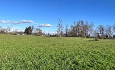 SE VENDEN Parcelas de 5000 m2 a 15 kms. de Osorno en NUEVO PROYECTO