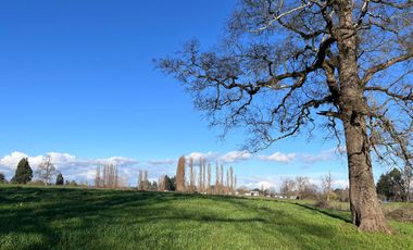 SE VENDEN Parcelas de 5000 m2 a 15 kms. de Osorno en NUEVO PROYECTO
