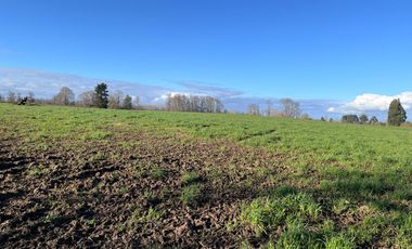 SE VENDEN Parcelas de 5000 m2 a 15 kms. de Osorno en NUEVO PROYECTO