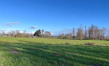 SE VENDEN Parcelas de 5000 m2 a 15 kms. de Osorno en NUEVO PROYECTO