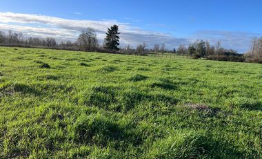 SE VENDEN Parcelas de 5000 m2 a 15 kms. de Osorno en NUEVO PROYECTO