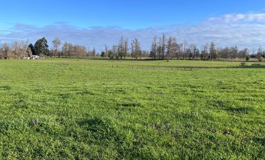 SE VENDEN Parcelas de 5000 m2 a 15 kms. de Osorno en NUEVO PROYECTO