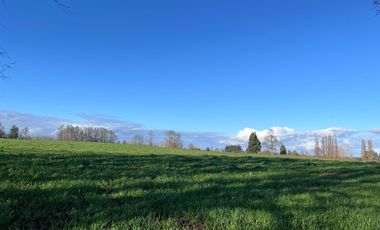 SE VENDEN Parcelas de 5000 m2 a 15 kms. de Osorno en NUEVO PROYECTO