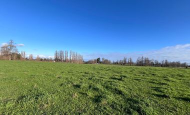 SE VENDEN Parcelas de 5000 m2 a 15 kms. de Osorno en NUEVO PROYECTO