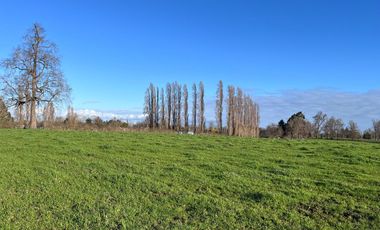 SE VENDEN Parcelas de 5000 m2 a 15 kms. de Osorno en NUEVO PROYECTO