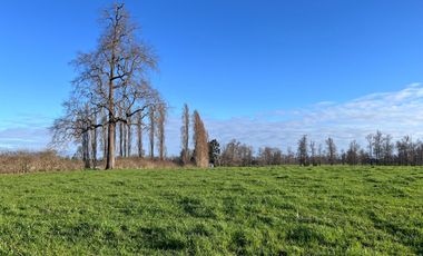 SE VENDEN Parcelas de 5000 m2 a 15 kms. de Osorno en NUEVO PROYECTO