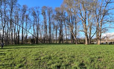 SE VENDEN Parcelas de 5000 m2 a 15 kms. de Osorno en NUEVO PROYECTO