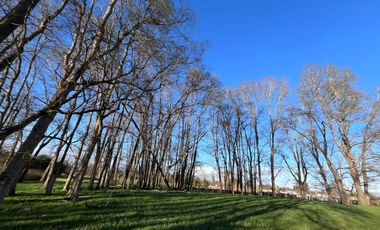 SE VENDEN Parcelas de 5000 m2 a 15 kms. de Osorno en NUEVO PROYECTO