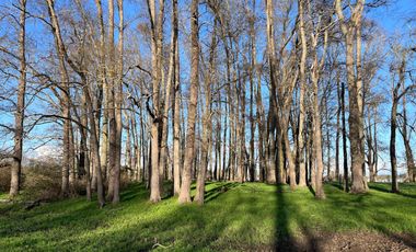 SE VENDEN Parcelas de 5000 m2 a 15 kms. de Osorno en NUEVO PROYECTO