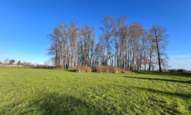 SE VENDEN Parcelas de 5000 m2 a 15 kms. de Osorno en NUEVO PROYECTO