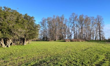 SE VENDEN Parcelas de 5000 m2 a 15 kms. de Osorno en NUEVO PROYECTO