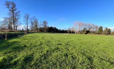 SE VENDEN Parcelas de 5000 m2 a 15 kms. de Osorno en NUEVO PROYECTO