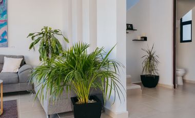 Oportunidad Casa en venta en condominio al Norte de Mérida Conkal, Yucatán